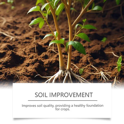 🌿 PlantFuel Drops | All-Natural Plant Nutrition | Boosts Growth & Vitality in 7 Days!