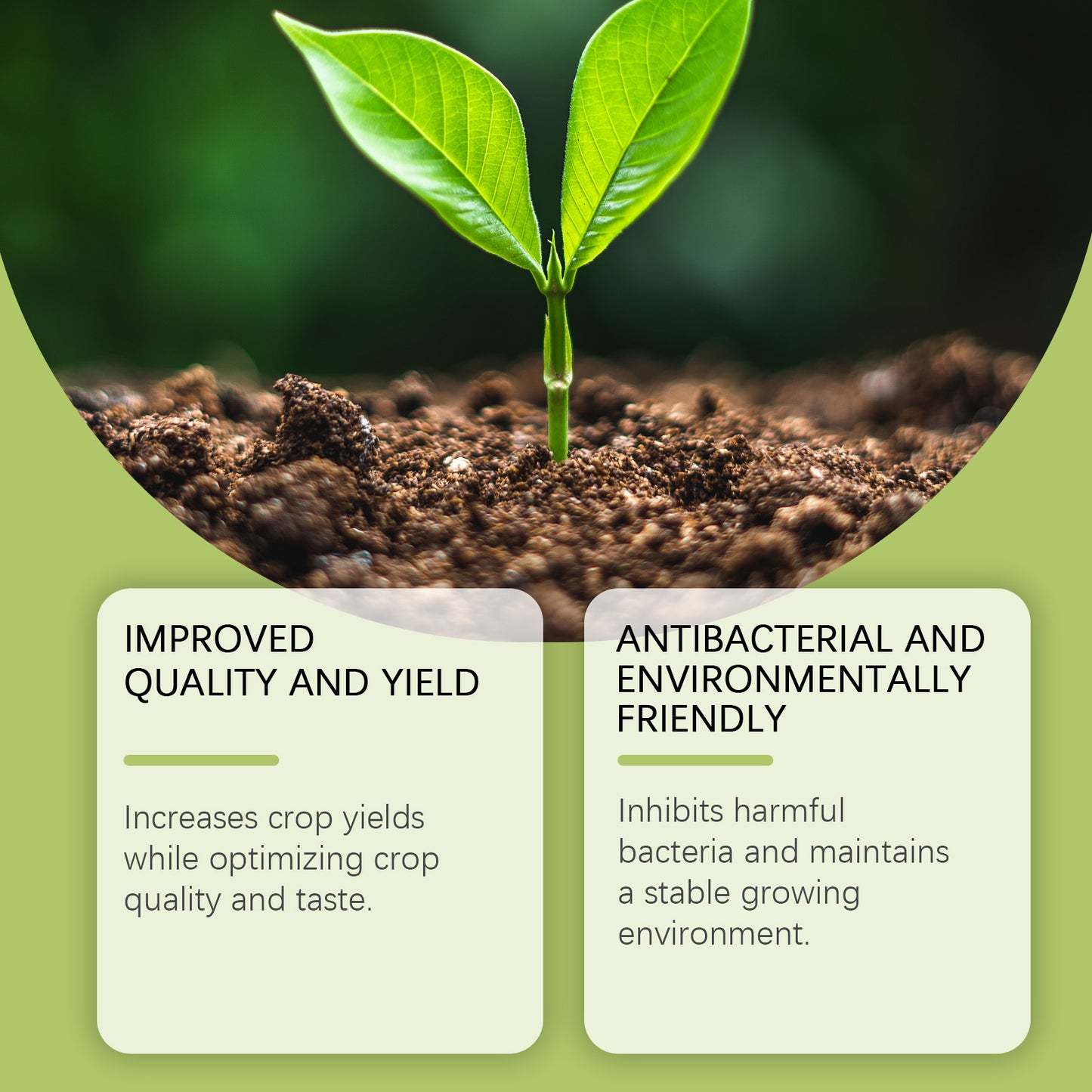 🌿 PlantFuel Drops | All-Natural Plant Nutrition | Boosts Growth & Vitality in 7 Days!